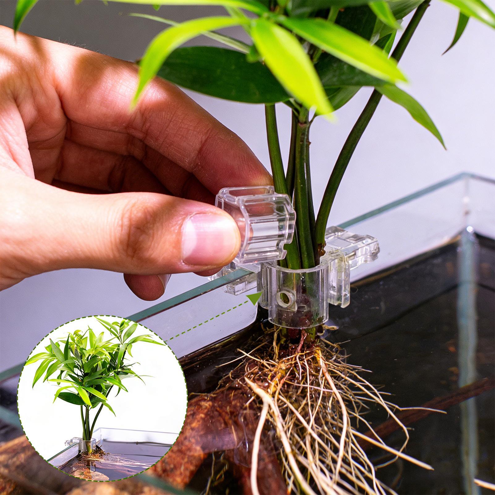 Planted Aquarium Mini - Mini Fish Tank Planter Pot 6Pcs
