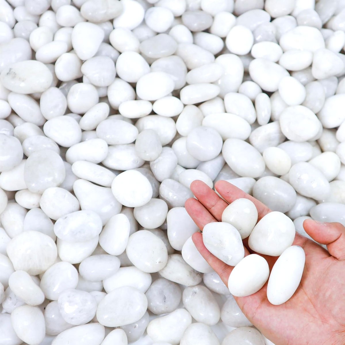 400g White Polished Natural Ri - Aquarium Sand White review and price