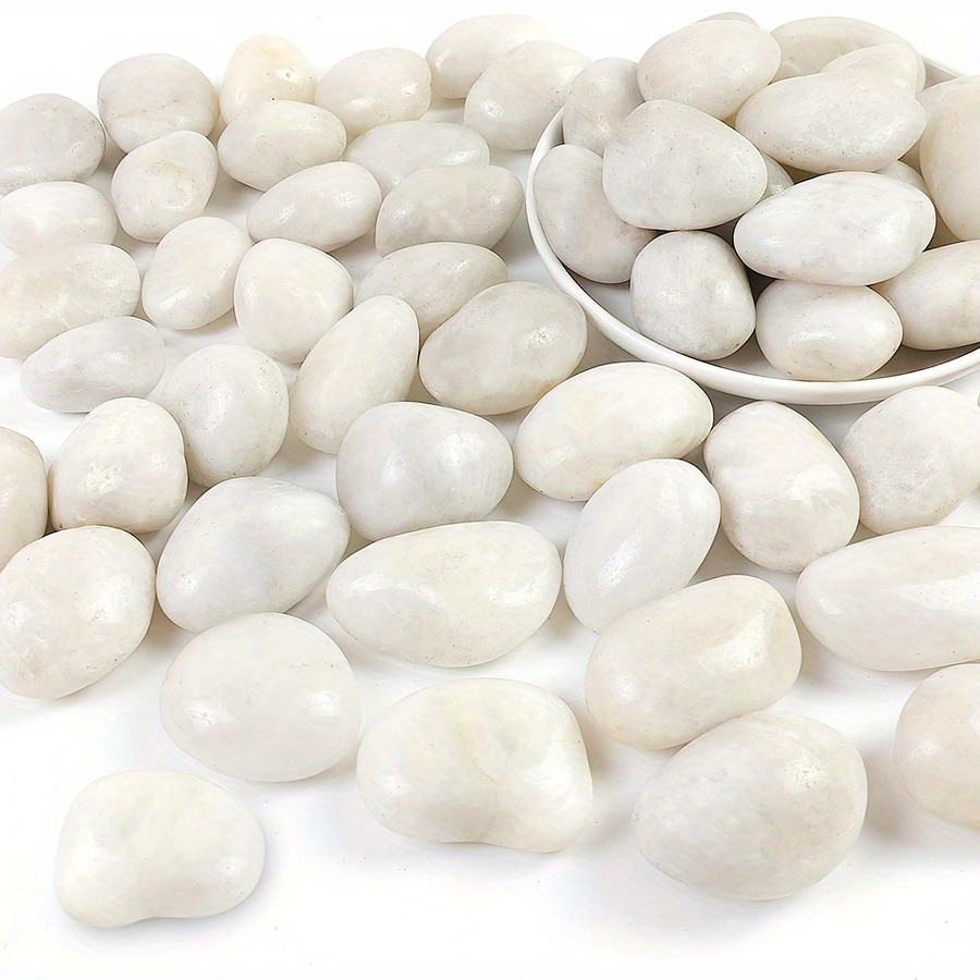 400g White Polished Natural Ri - Aquarium Sand White review and price