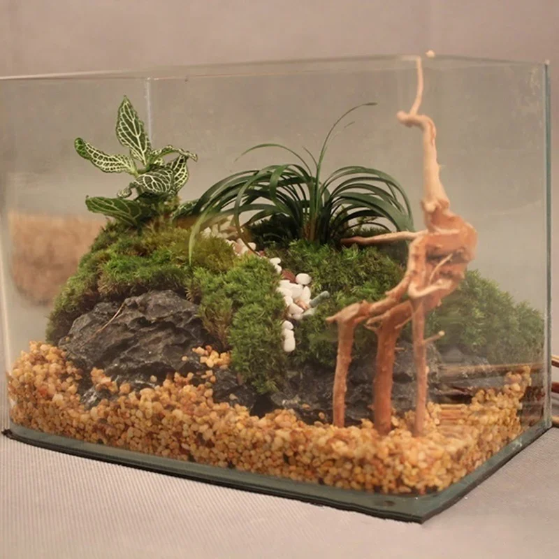 Natural Tree Trunk Driftwood A - Aquarium Planted Wood review and price