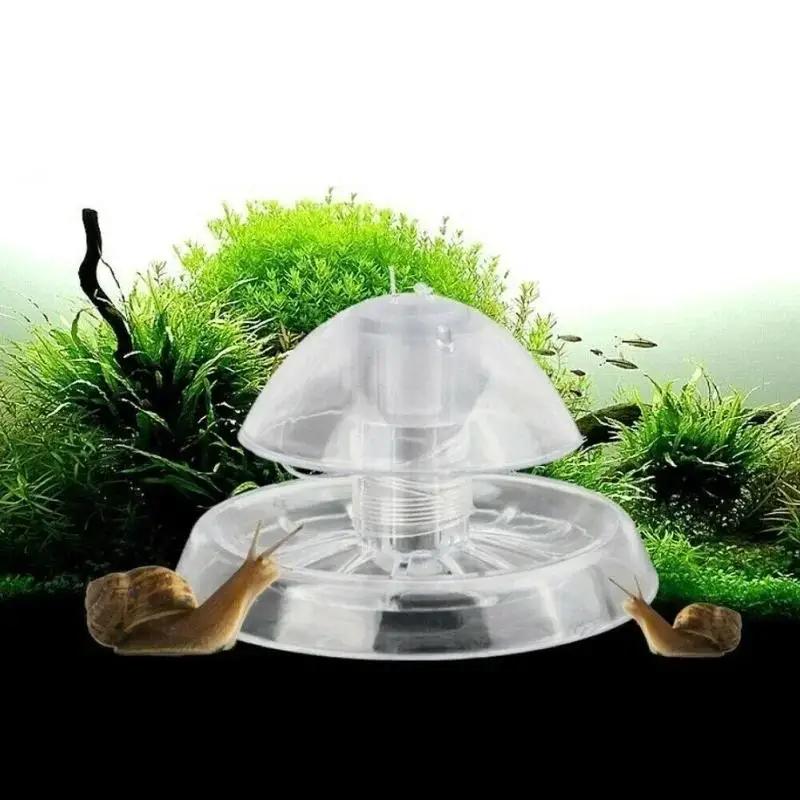 2026 New 6/8CM Clear Plastic S - Aquarium Planted Fish review and price