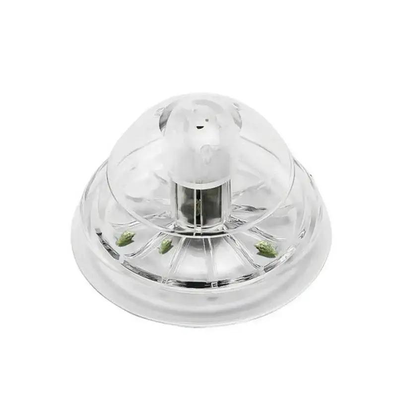 2026 New 6/8CM Clear Plastic S - Aquarium Planted Fish review and price
