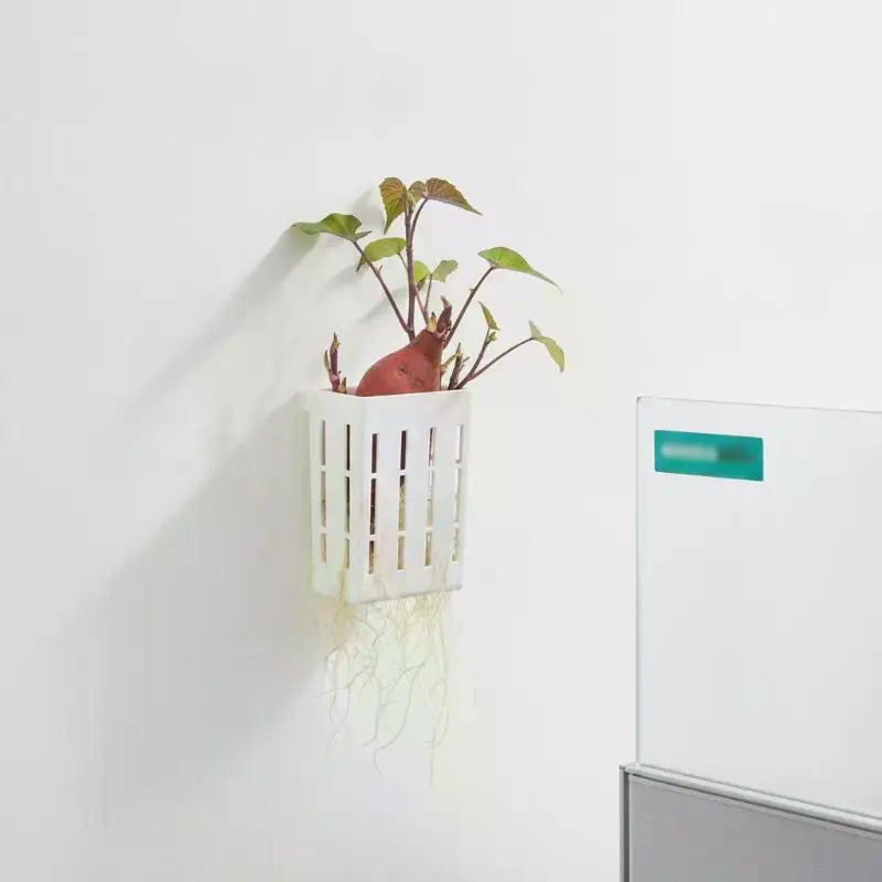 1Pcs Hydroponic Support Basket - Aquarium Plant Holder review and price