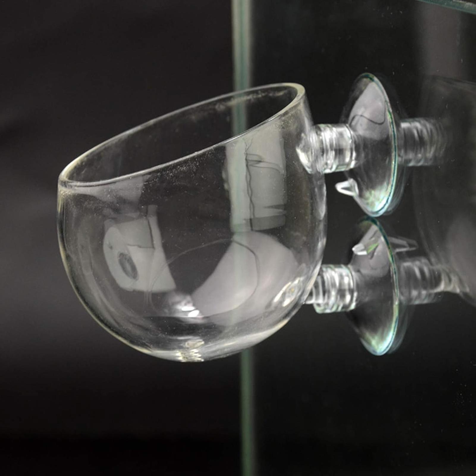 Aquarium Plant Holder Glass Aq - Aquarium Plant Holder review and price