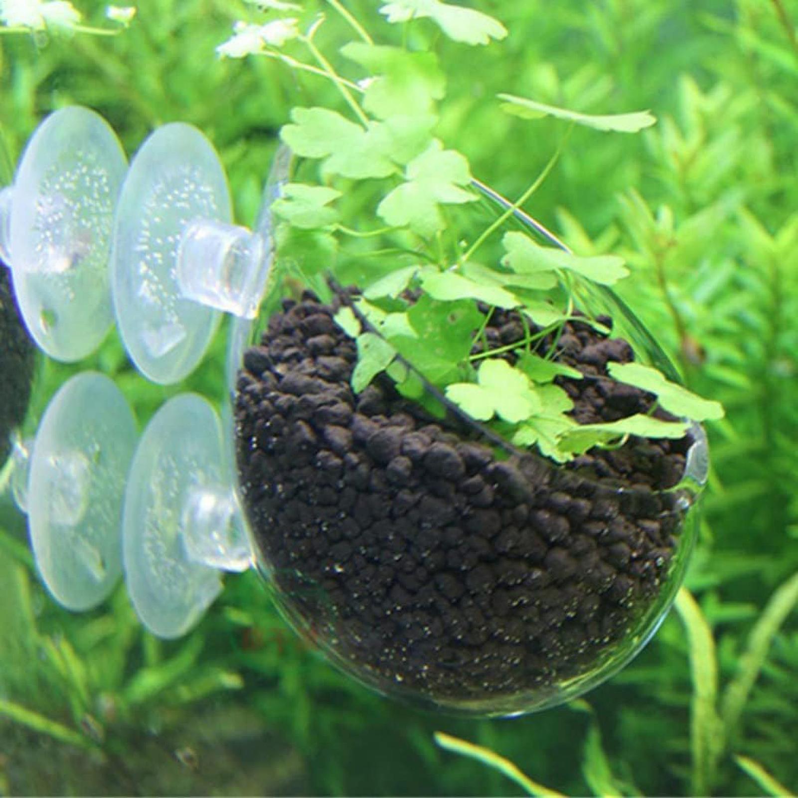 Aquarium Plant Holder Glass Aq - Aquarium Plant Holder review and price