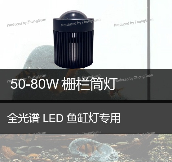 Led Downlight Moss Plant Grow  - Aquarium Planted Wood review and price