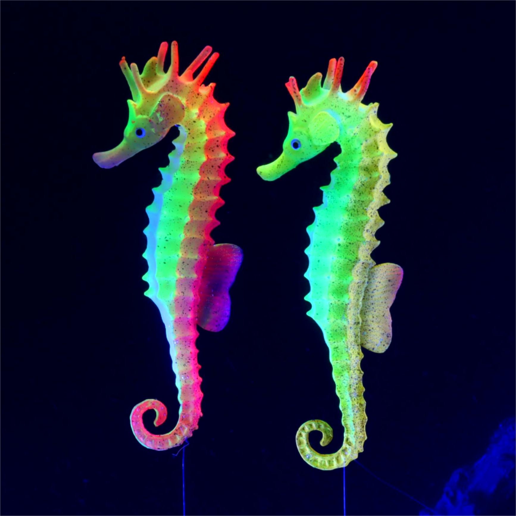 1pc Fish Tank Decoration Lumin - Aquarium Plant Gel review and price