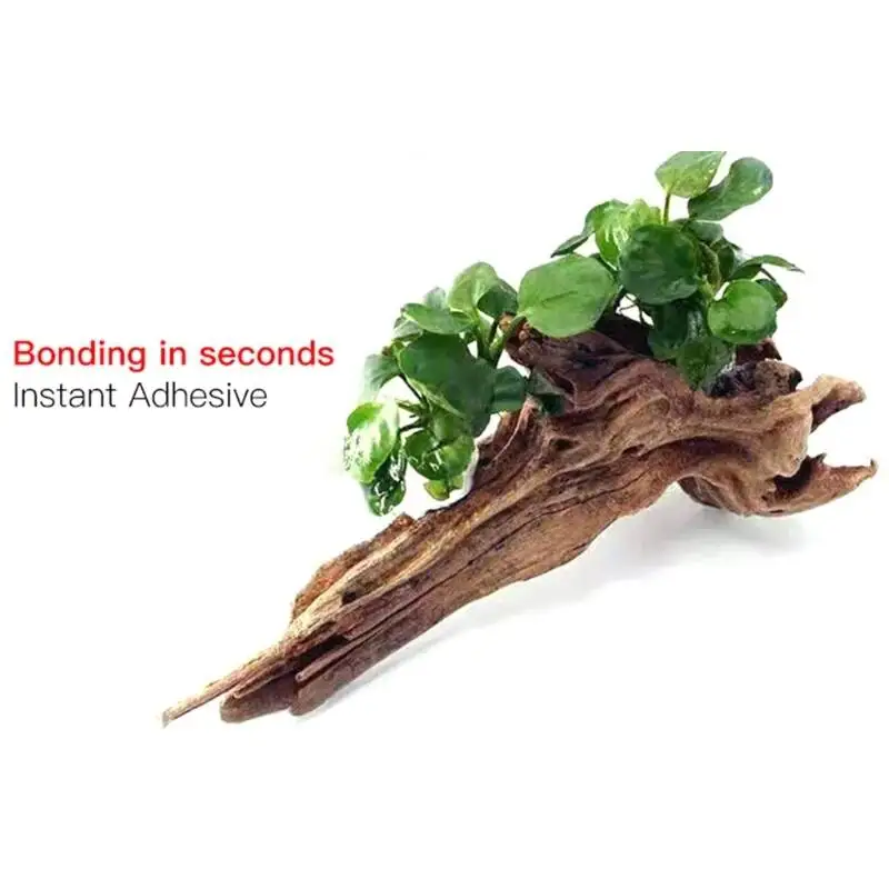 2PCS 5PCS /3/ Moss Clear Glues - Planted Aquarium Moss review and price