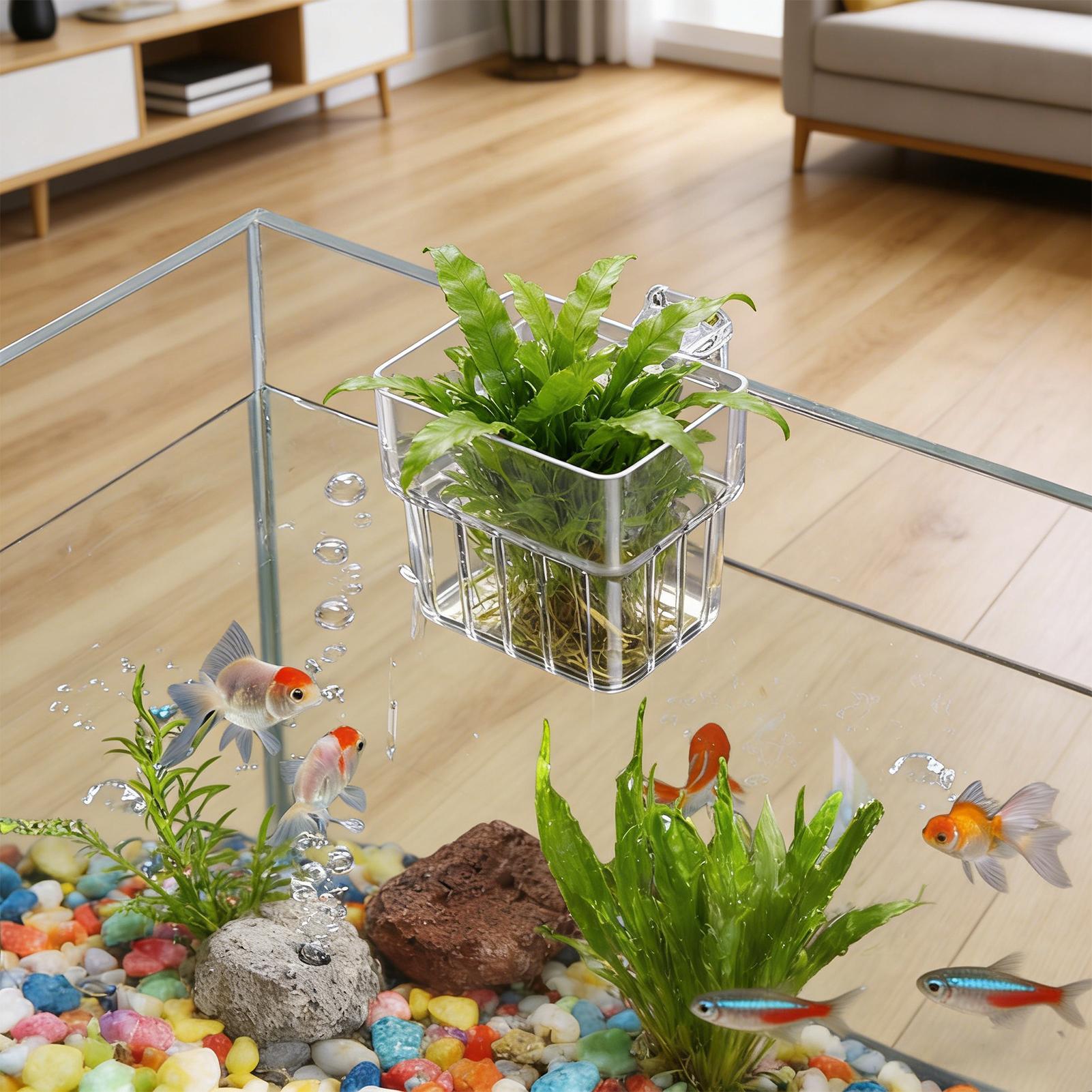 Fish Tank Fixed Basket Wall mo - Aquarium Plant Holder review and price