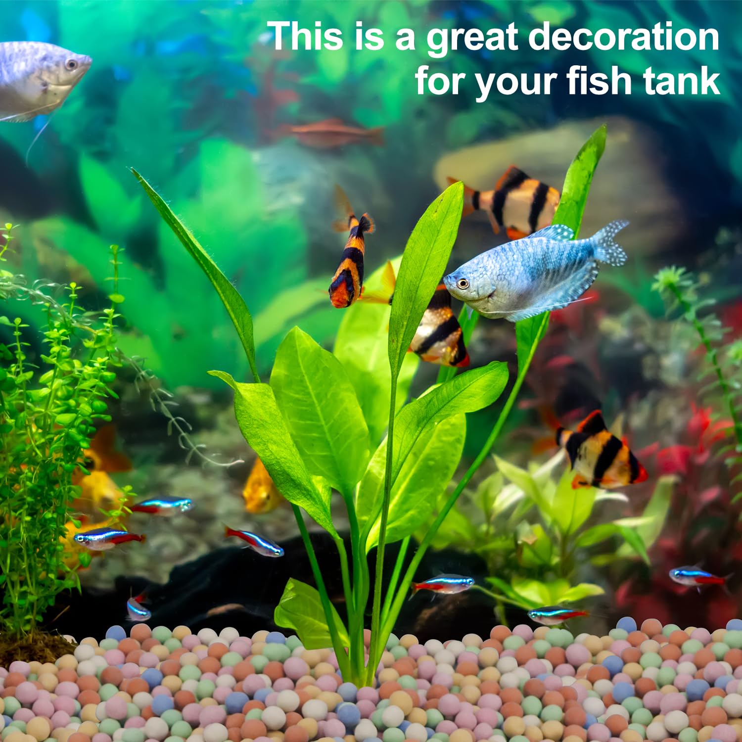 Hydroponic Plant Decorative Co - Aquarium Plant Vitamins review and price
