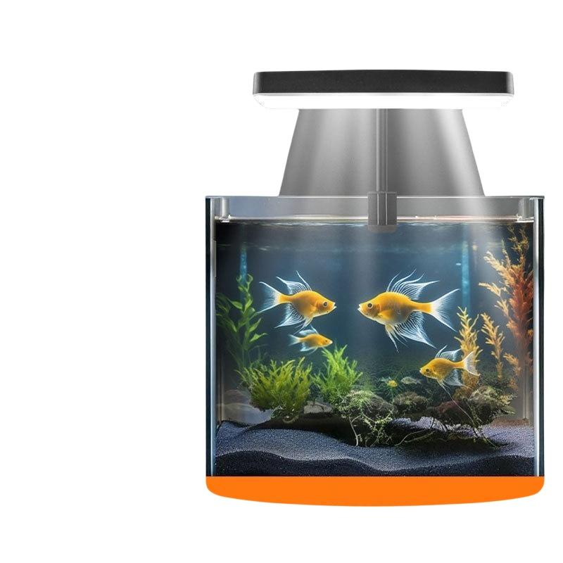 USB Aquarium Clip Light Flexib - Aquarium Planted Fish review and price