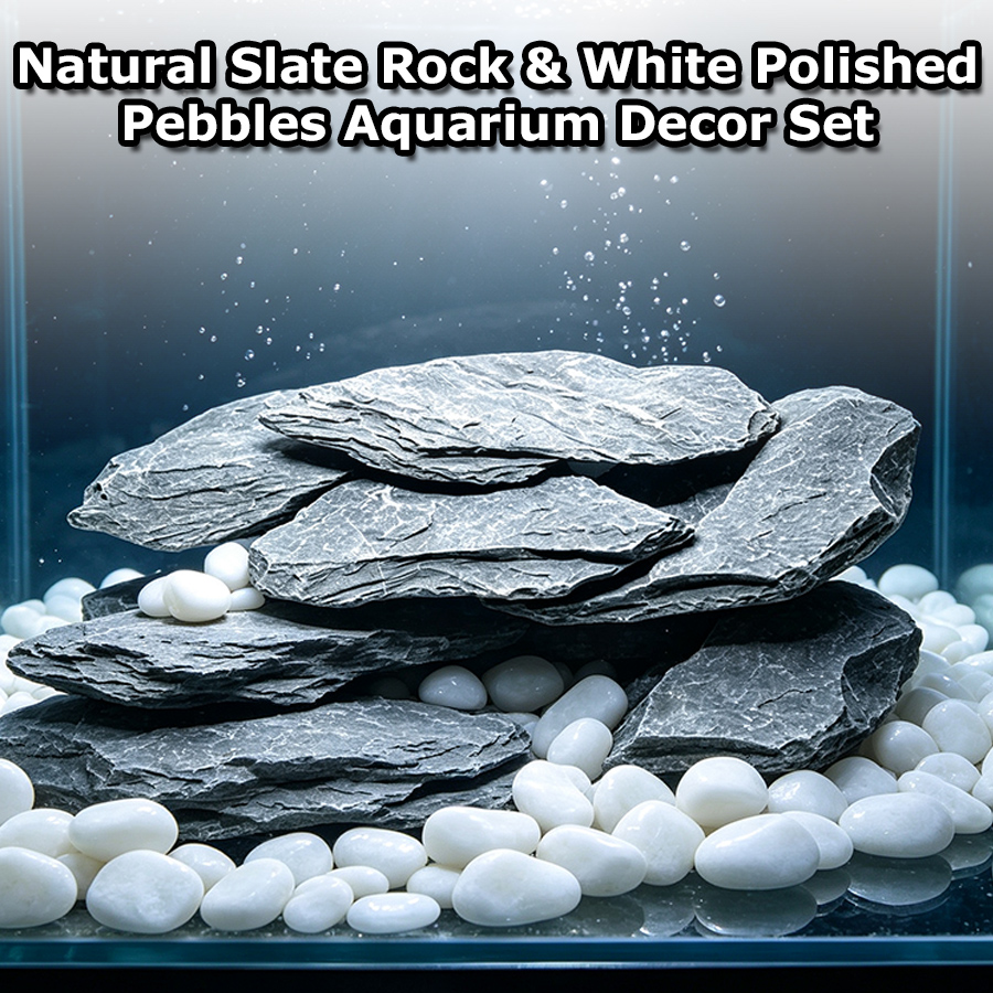 400g Aquarium Decor Set Stacka - Aquarium Sand White review and price