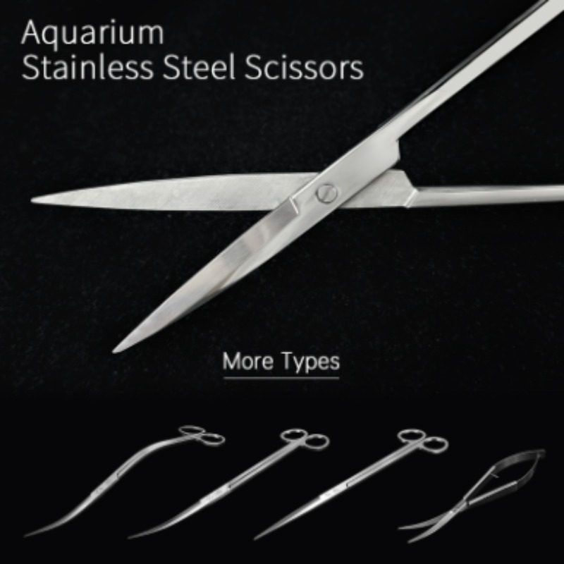 Week Aqua Stainless Steel Aqua - Aquarium Plant Nursery review and price
