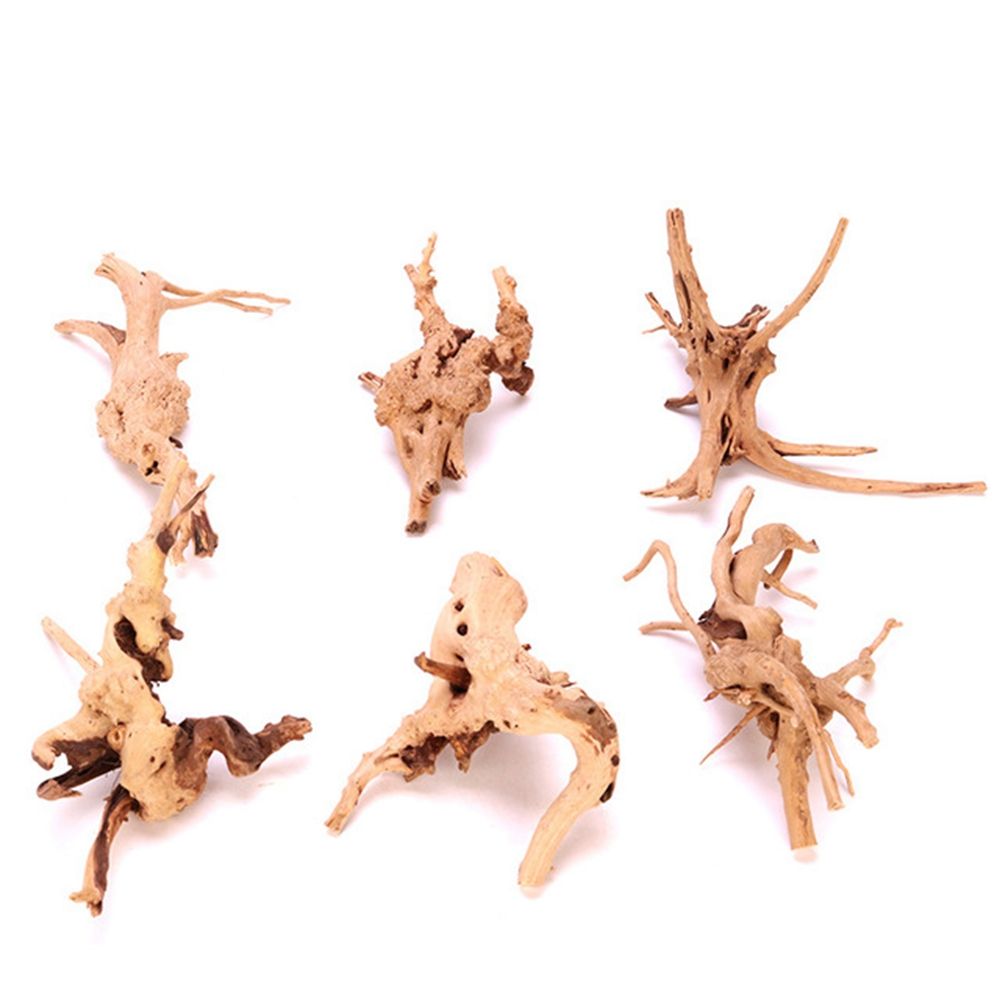 1 Pcs Wood Reptile Fish Tank O - Aquarium Planted Wood review and price