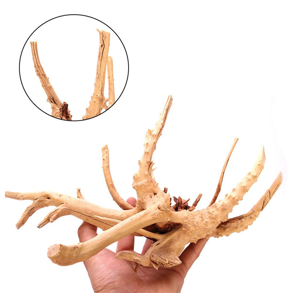 1 Pcs Wood Reptile Fish Tank O - Aquarium Planted Wood review and price
