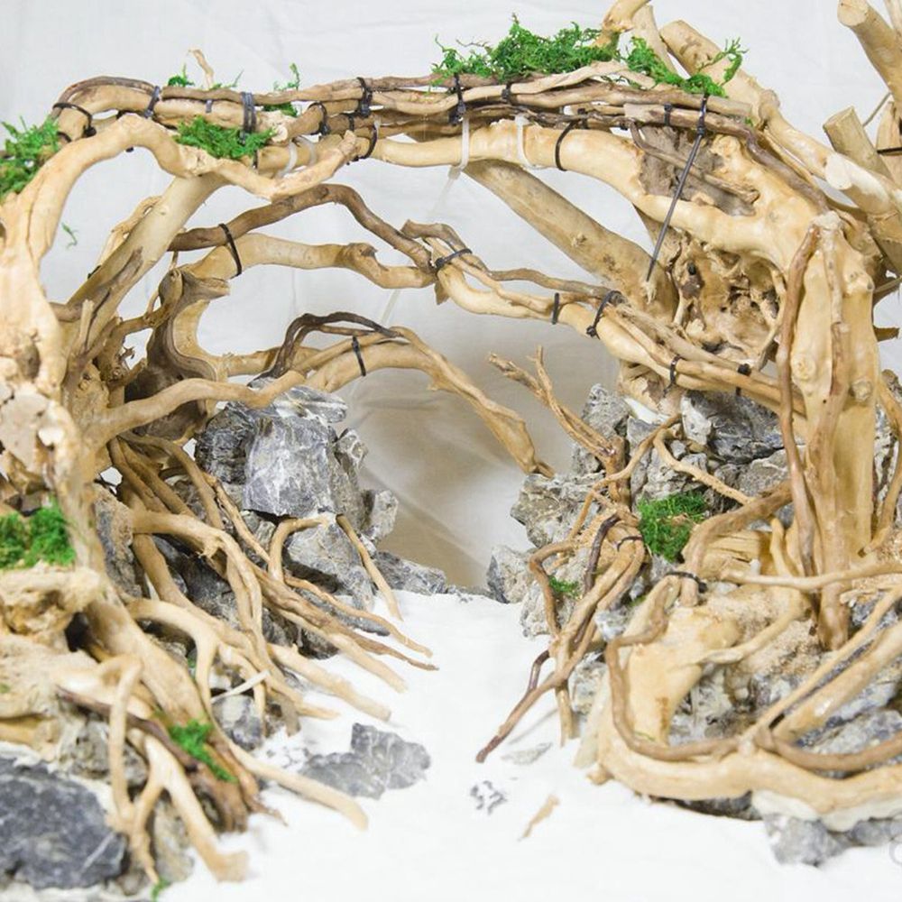 1 Pcs Wood Reptile Fish Tank O - Aquarium Planted Wood review and price