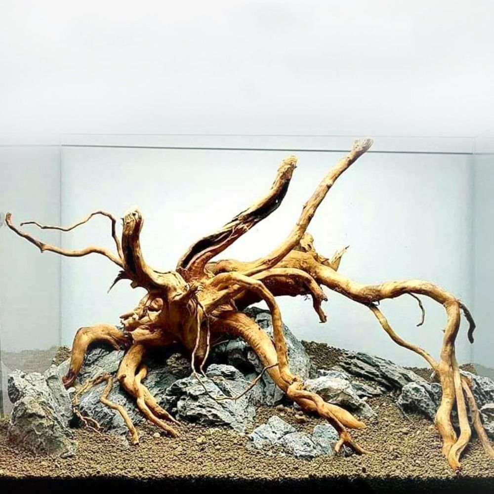 Natural Tree Trunk Aquarium De - Aquarium Planted Wood review and price