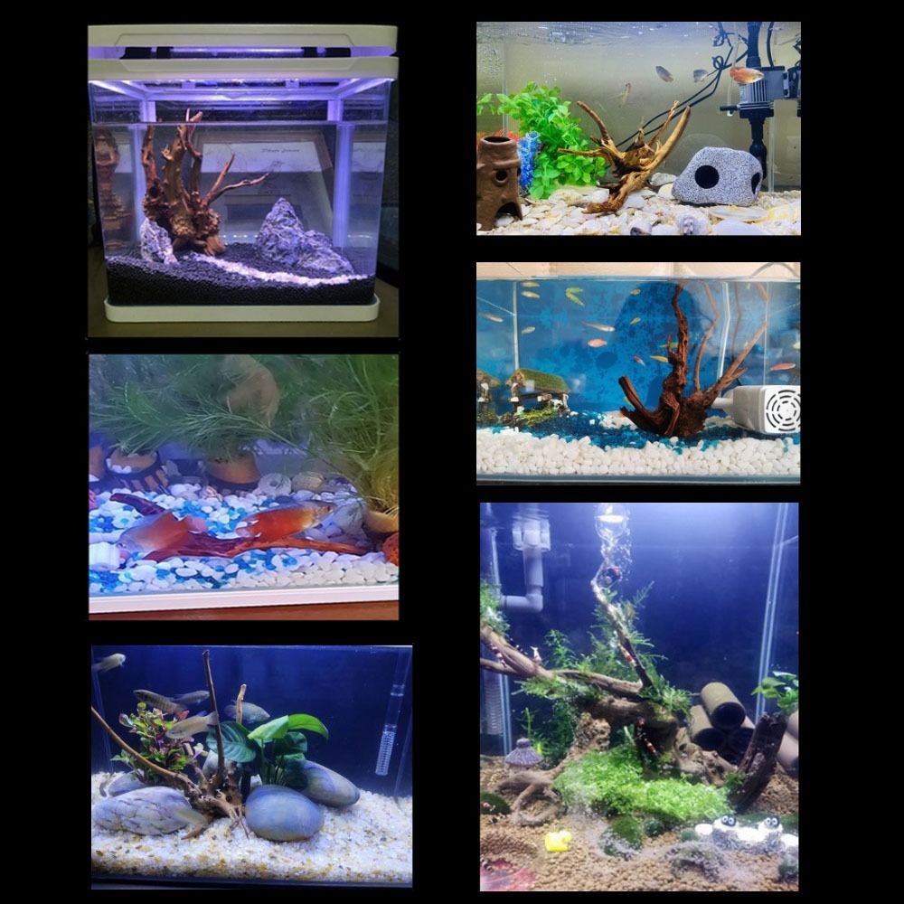 Natural Tree Trunk Aquarium De - Aquarium Planted Wood review and price