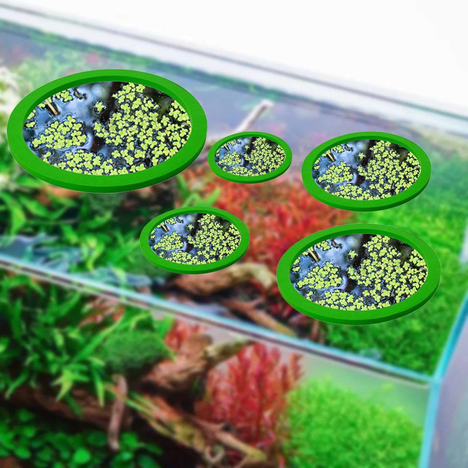 5Pcs EVA Fish Feeding Ring Aqu - Aquarium Planted Fish review and price