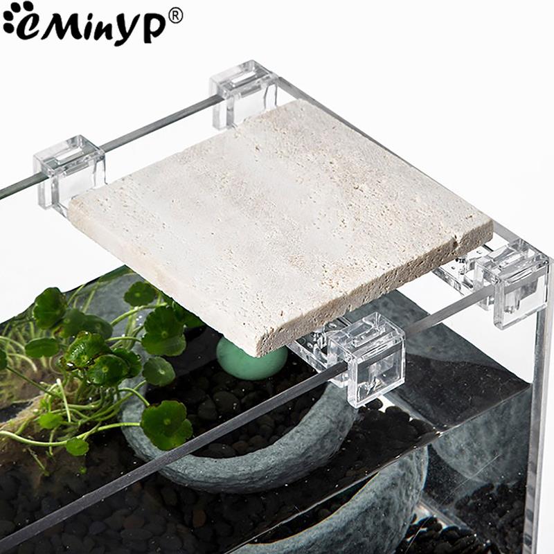 4Pcs Fish Tank Acrylic Clips f - Aquarium Plant Holder review and price