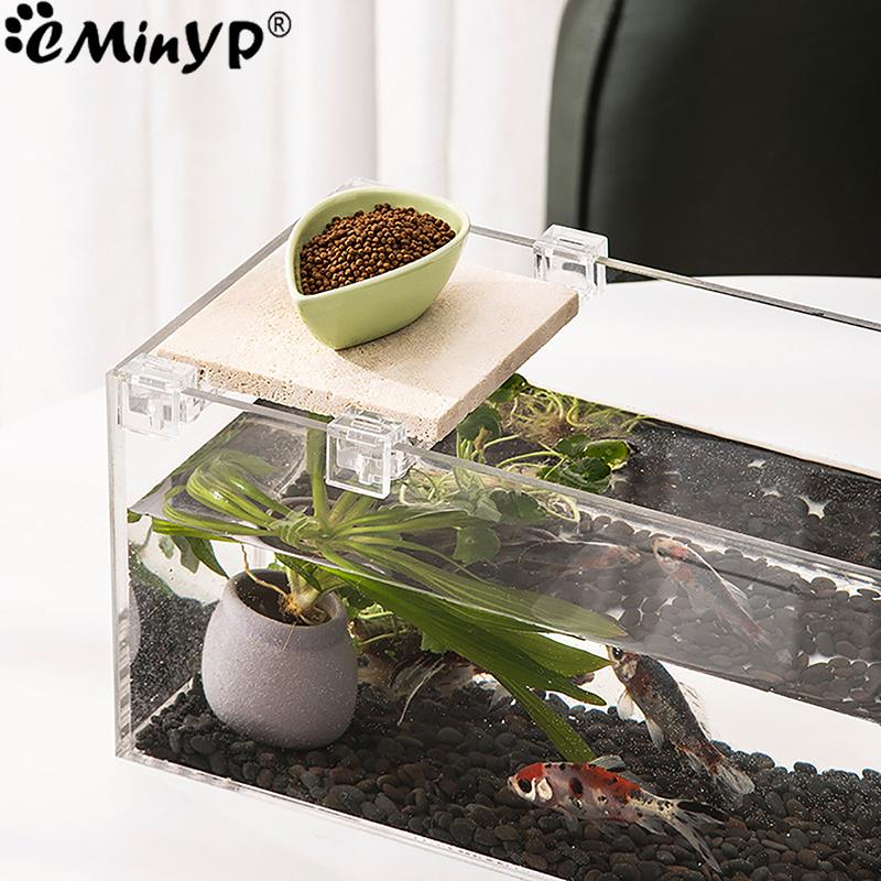 4Pcs Fish Tank Acrylic Clips f - Aquarium Plant Holder review and price
