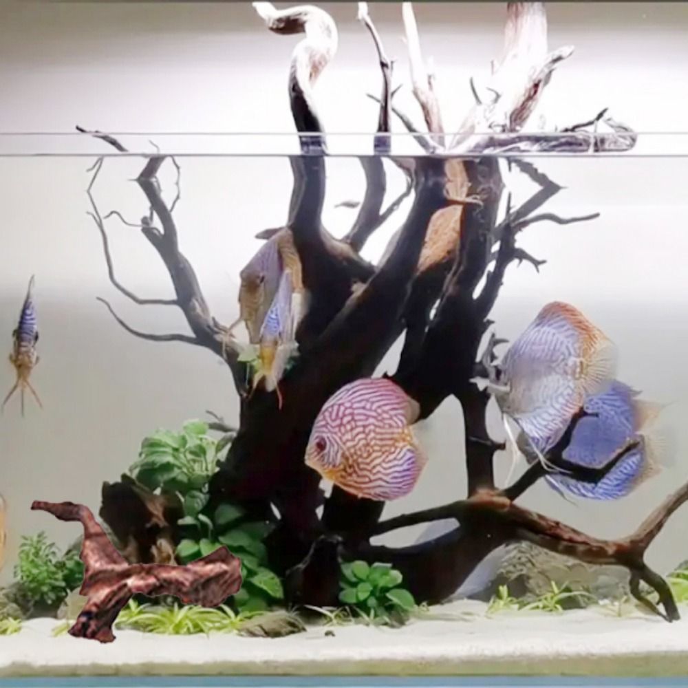 Creative Irregular Shape Coral - Aquarium Planted Wood review and price