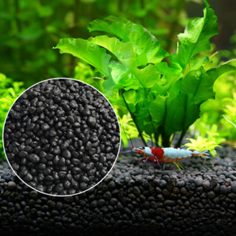 Aquarium Plant Seeds Soil Fish - Planted Aquarium Moss review and price