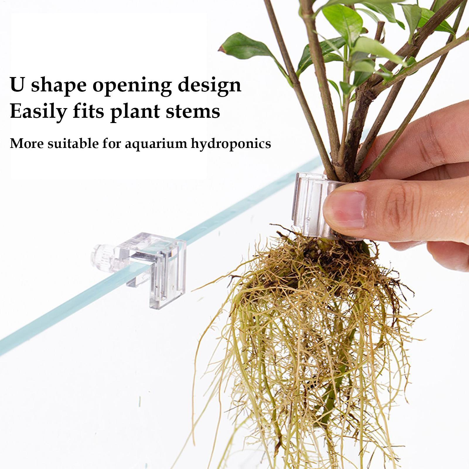 Mini Fish Tank Planter Pot 6Pc - Planted Aquarium Mini review and price