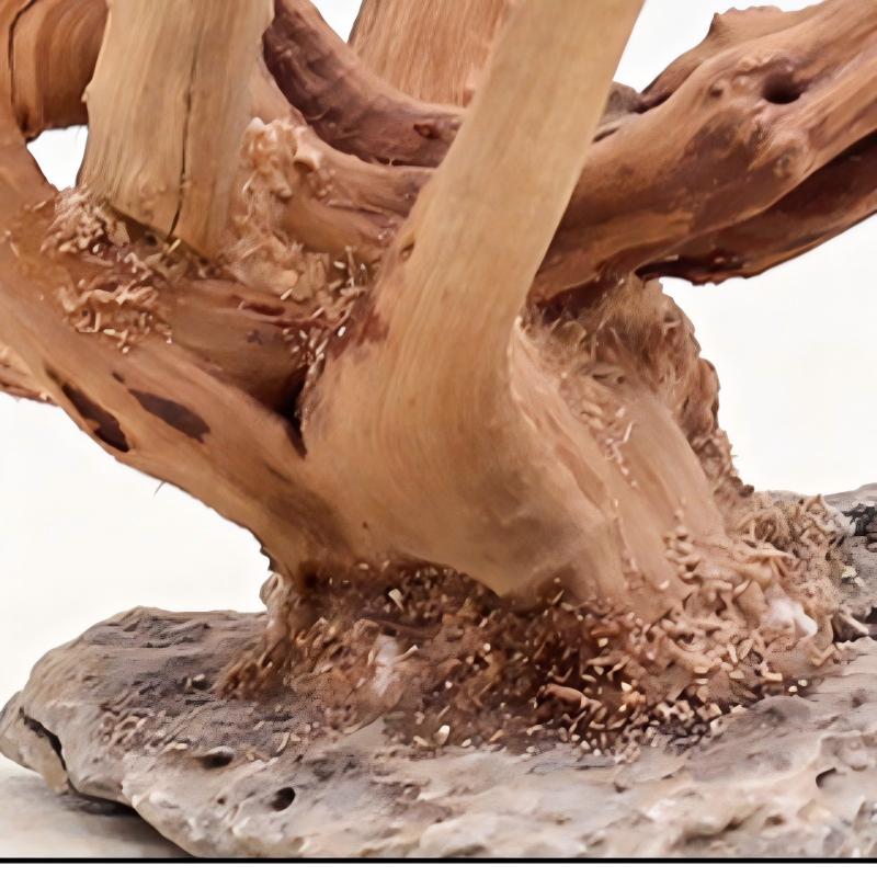 1PC Aquarium Landscaping Wood  - Aquarium Planted Wood review and price