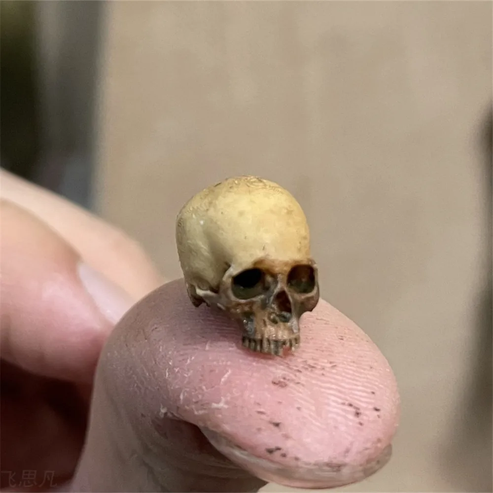 Mini Skull High Quality Miniat - Aquarium Plant Nursery review and price
