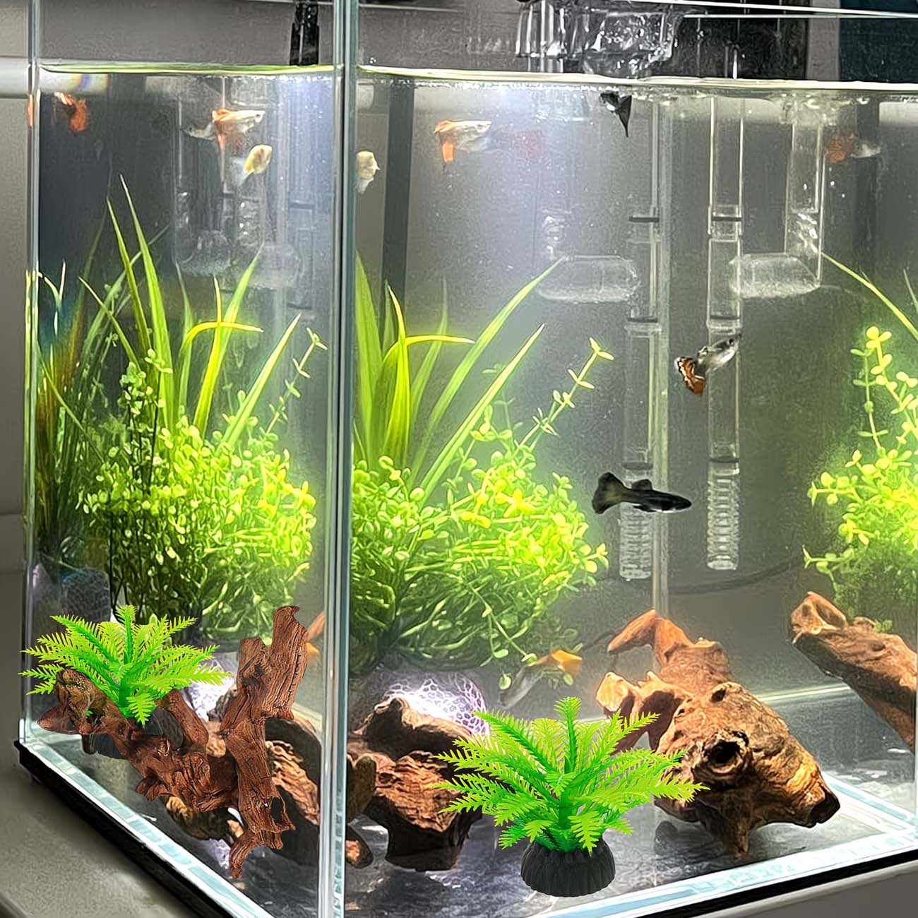 5-10CM Natural Sinkable Driftw - Aquarium Planted Wood review and price