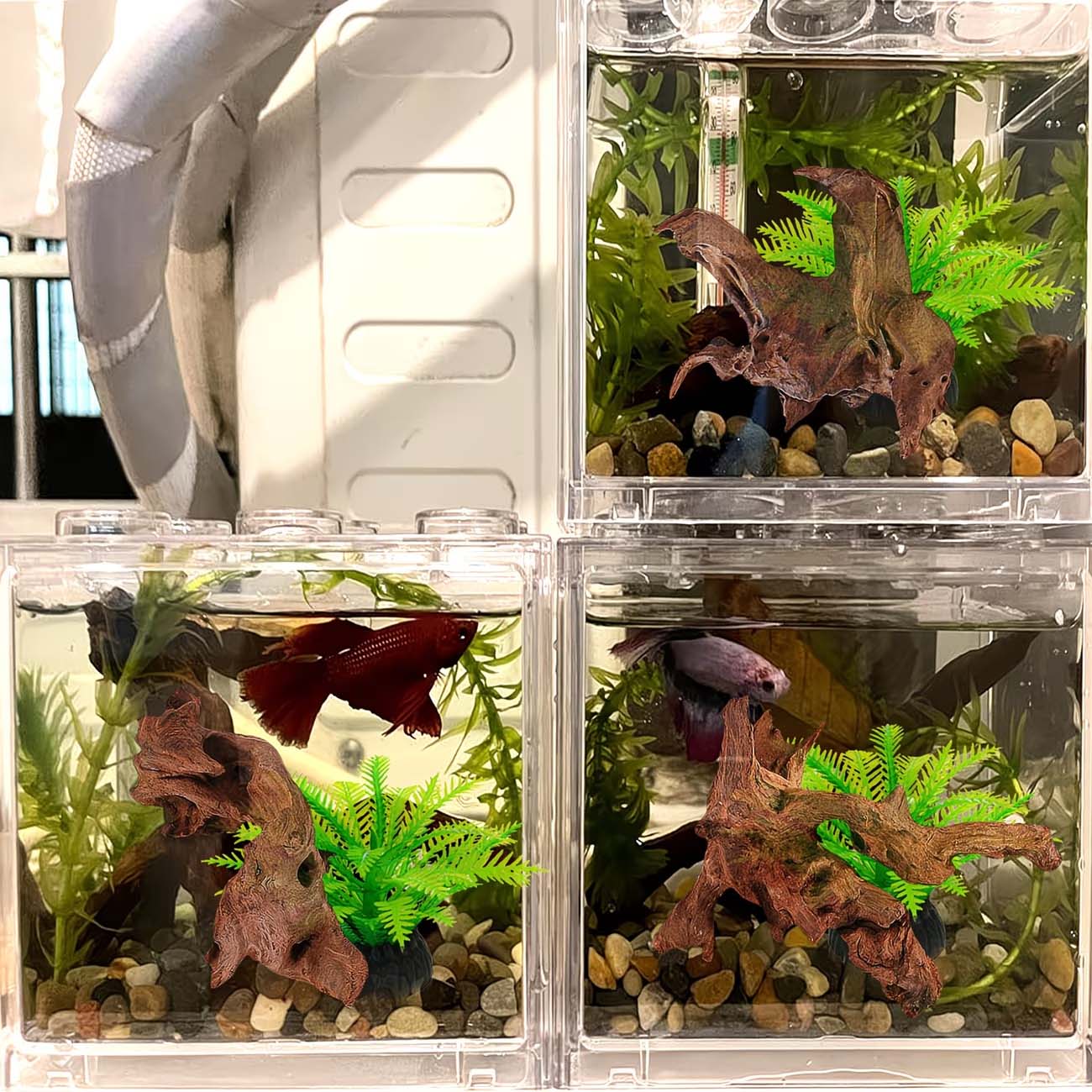 5-10CM Natural Sinkable Driftw - Aquarium Planted Wood review and price