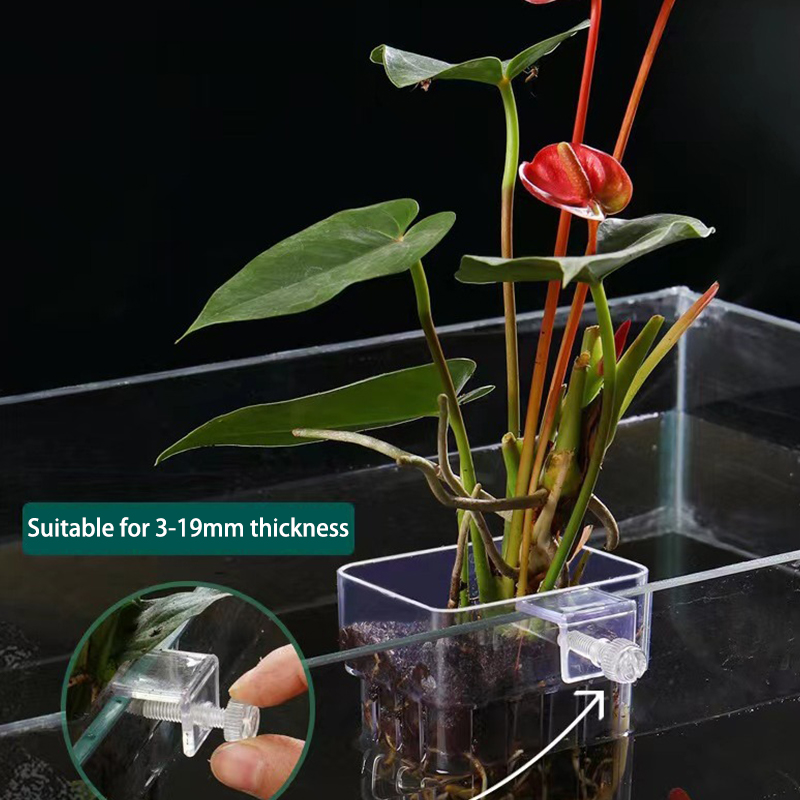 Multifunctional Fish Aquarium  - Aquarium Planted Fish review and price
