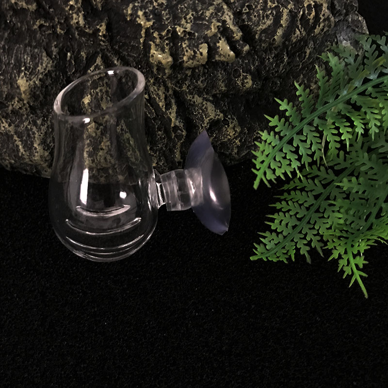 Aquarium Decoration Hanging Fi - Planted Aquarium Mini review and price