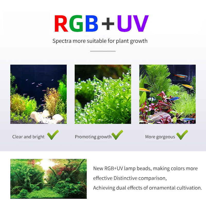 WEEK AQUA P Series Aquarium Fu - Aquarium Plant On Top review and price