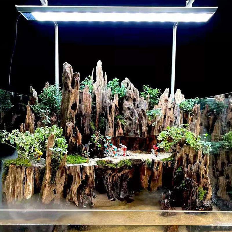 △ Shrimp Wood Aquarium Decor,  - Aquarium Planted Wood review and price