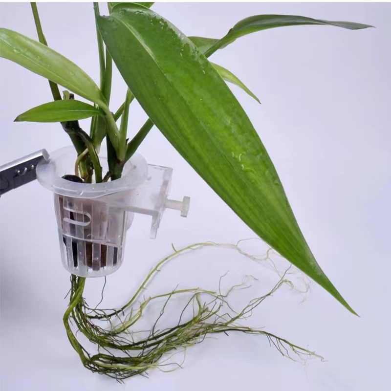 Aquarium Planting Basket Hydro - Aquarium Plant Holder review and price